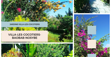 JARDINS VILLA LES COCOTIERS